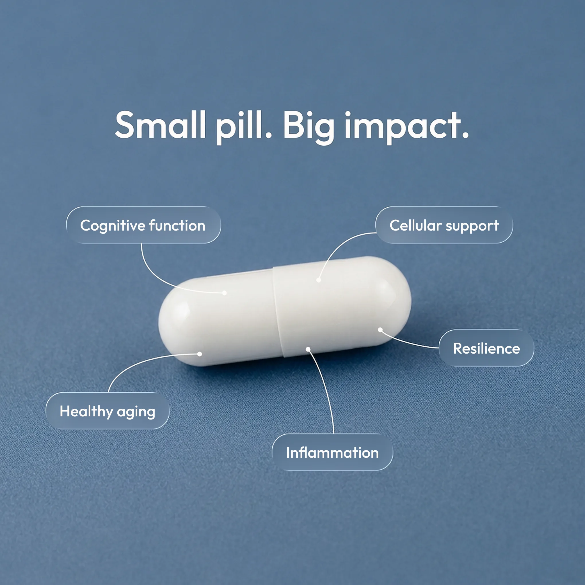 rapamycin carousel 2